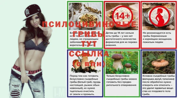ПСИЛОЦИБИНОВЫЕ ГРИБЫ Алексин