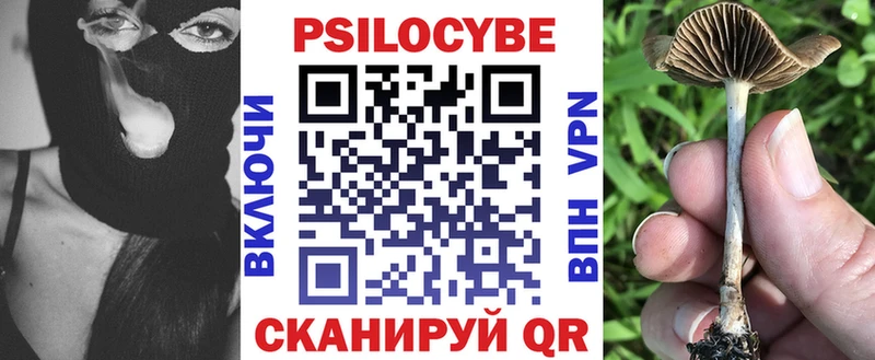 наркошоп  Новосиль  Галлюциногенные грибы мицелий 